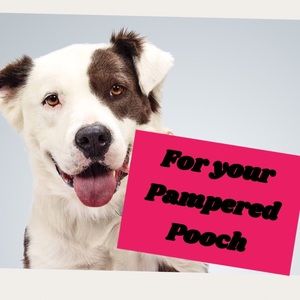 Dog clothes .. multiple sizes